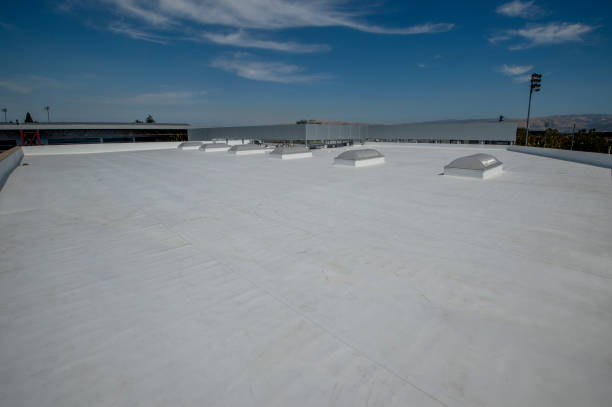 Best Asphalt Shingles Roofing  in Portageville, MO