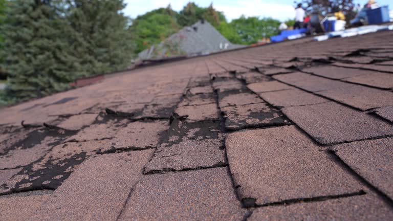 Best Hot Roofs  in Portageville, MO