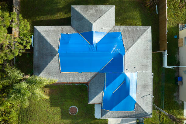 Best Roof Insulation Installation  in Portageville, MO